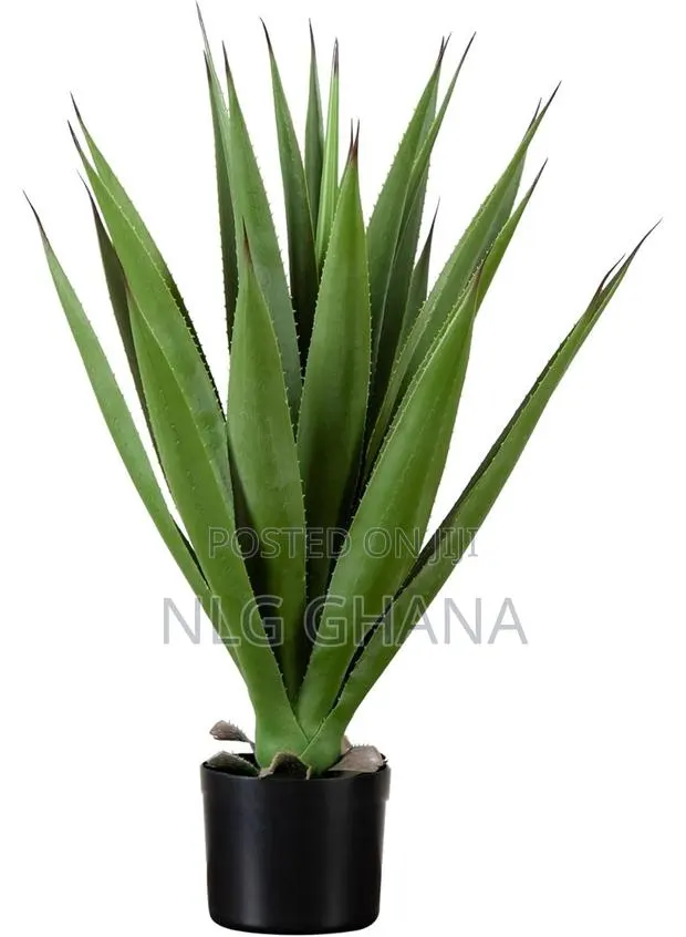 37cm / 14.6" Artificial Spiked Agave Plant. Ghx6294 · Photo 1