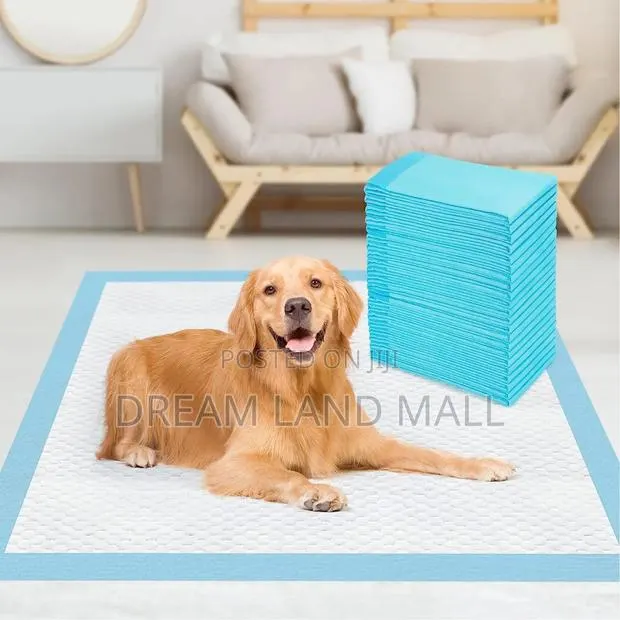 Quality Potty Training Pad · Photo 1