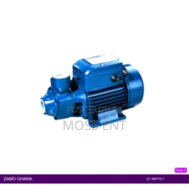 End-Suction Peripheral 0.8 Hp - Mkp70-1 · Photo 1