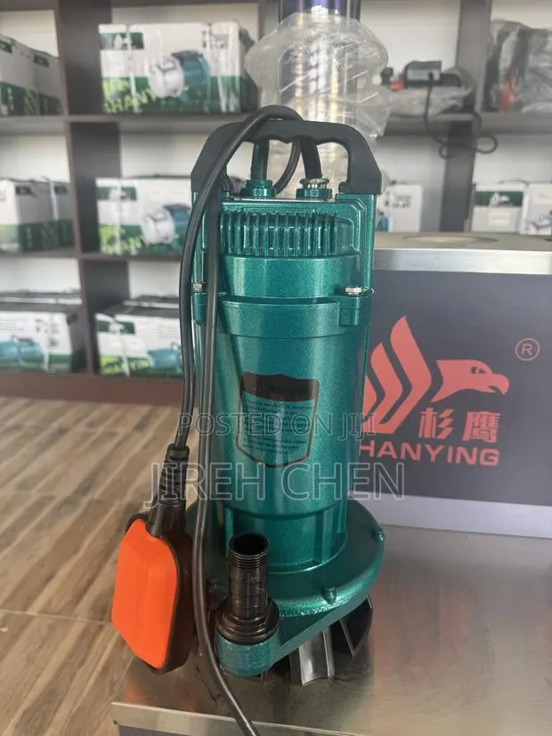 SHANYING 1HP Garden Submersible Pump · Photo 1