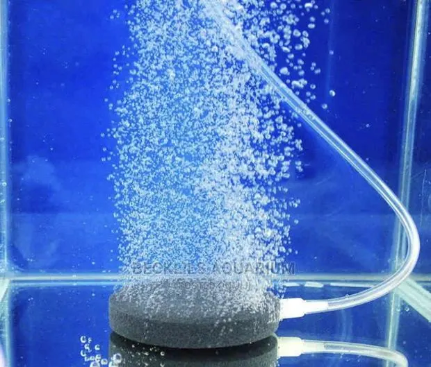 Aquarium Airstone · Photo 1