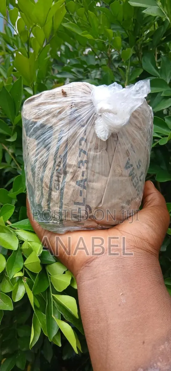 Traditional African Black Soap · Photo 1