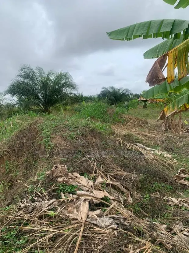 Genuine Lands Available for Sale. No Litigation. · Photo 1