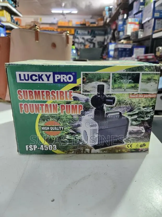 Fountain Pump · Photo 1