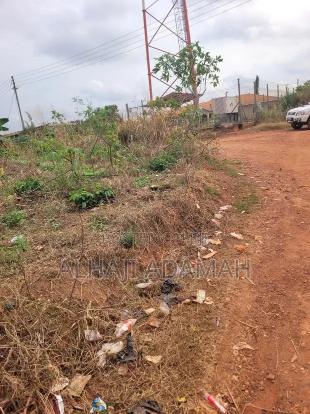 Land for Sale at Heman Near Main Road · Photo 2