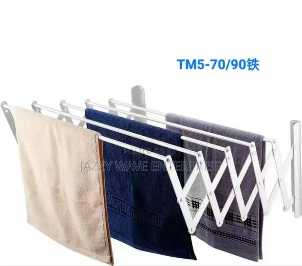 Wall Clothes Hanger /Towel Hanger · Photo 1