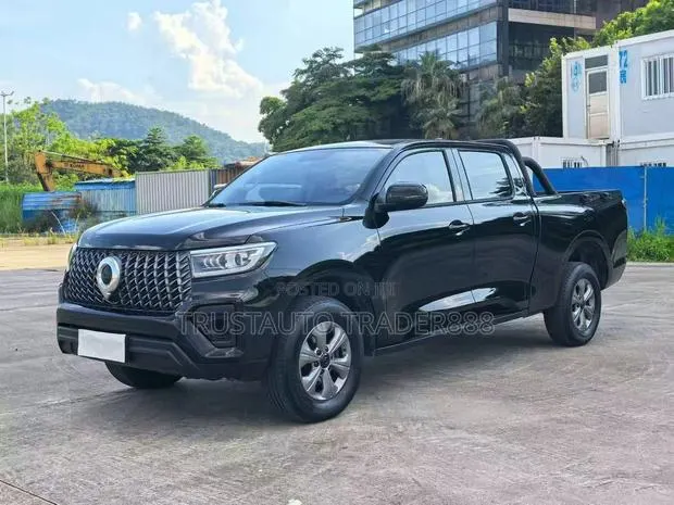 New Great Wall Pao 2025 Black · Photo 1
