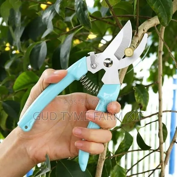 Branch Trimmer Stainless Steel · Photo 1