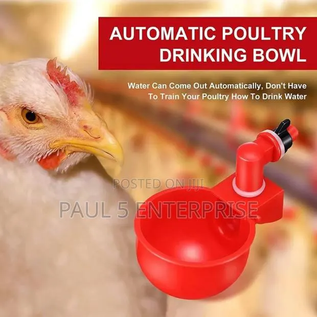 Chicken Automatic Drinkers Good Quality L · Photo 1