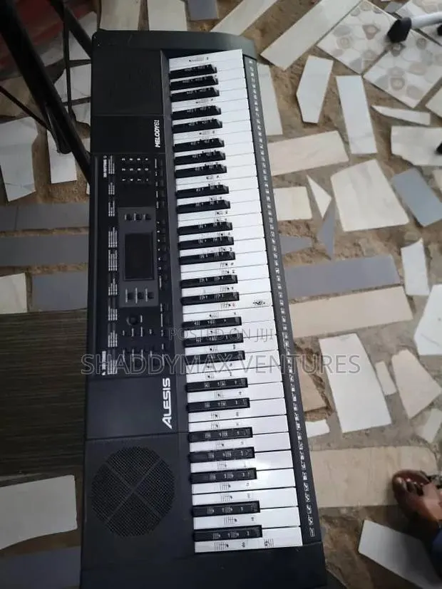 Alexis Melody 61 Keyboard · Photo 1