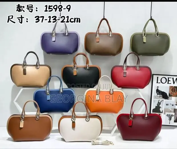 Ladies Beautiful Handbag · Photo 1