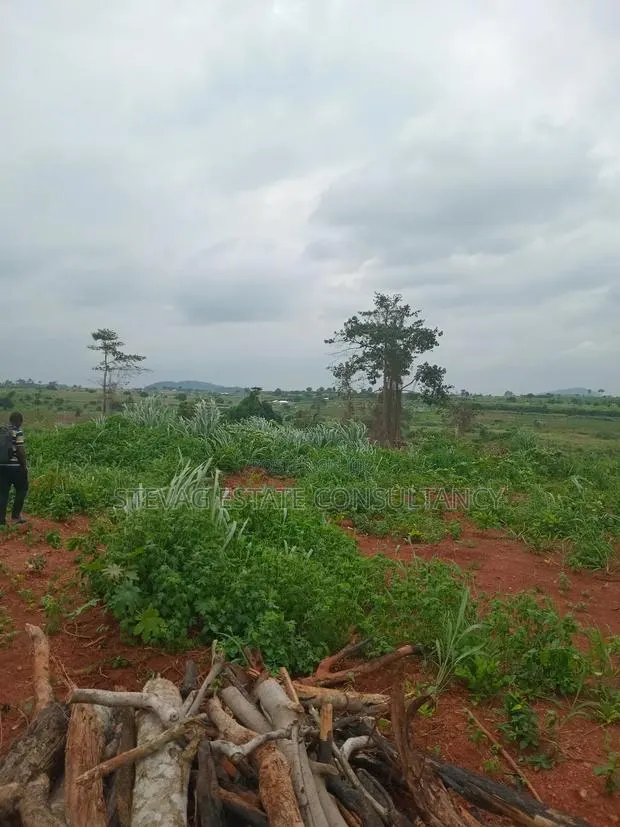 Alpha Estate Land for Sale Kweikrom · Photo 6