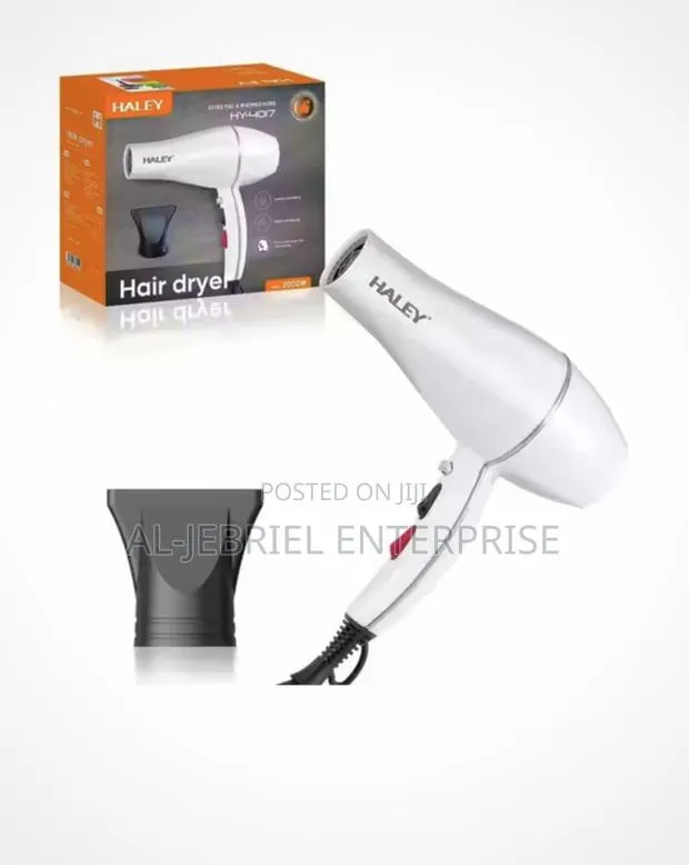 Haley Hair Dryer (White) · Photo 1
