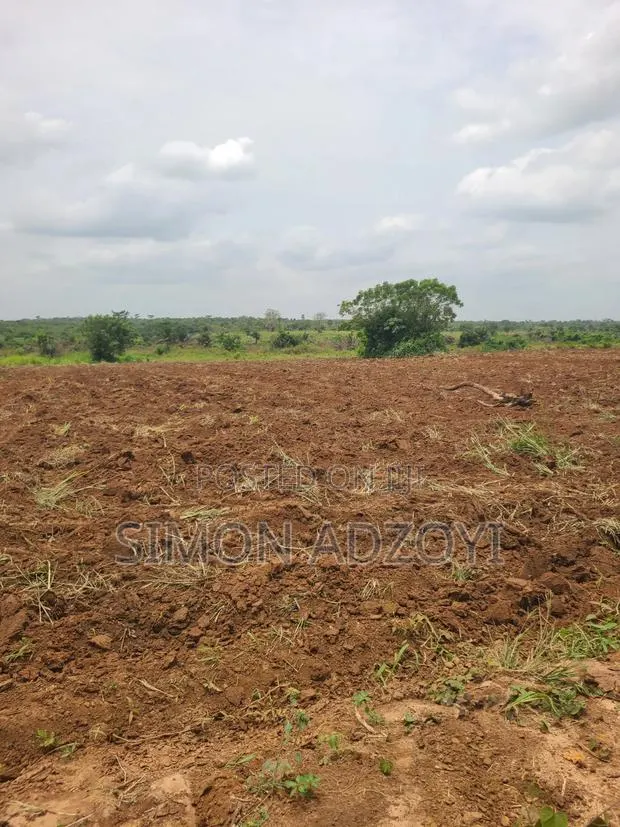 2000 Acres of Farm Land for Long-Term Lease · Photo 1