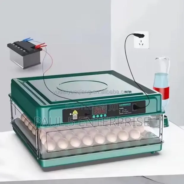 48eggs Incubator Wholesale and Retail Fully Automated and Dual Power · Photo 1