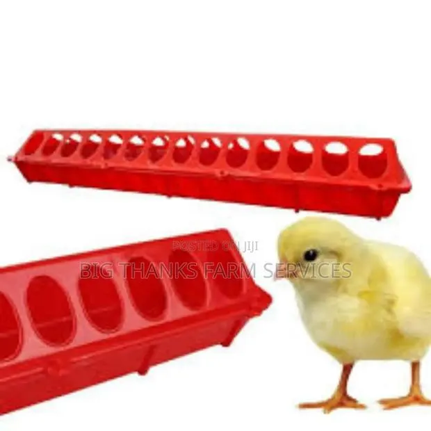 Chick Feeders,Flat 28 Holes · Photo 1