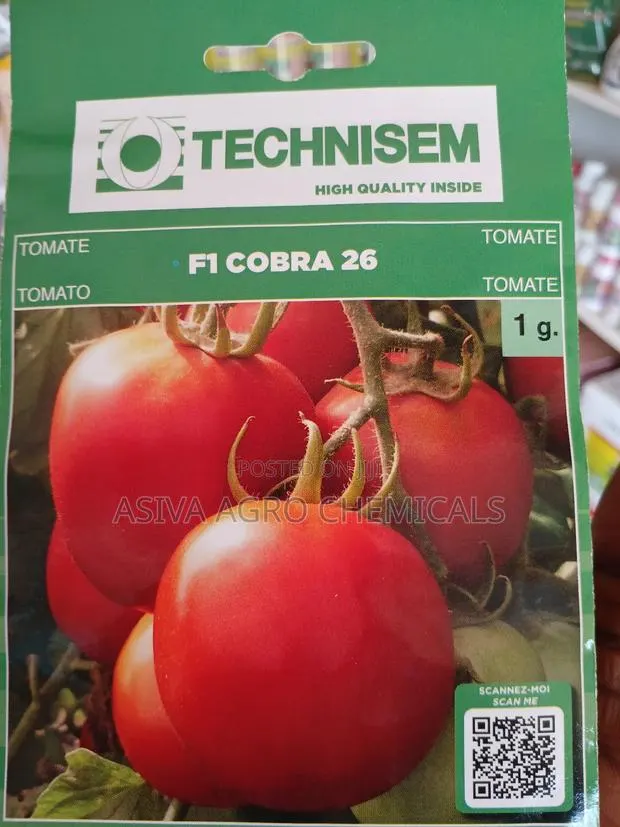 Cobra 26 1gram Tomato Seeds · Photo 4