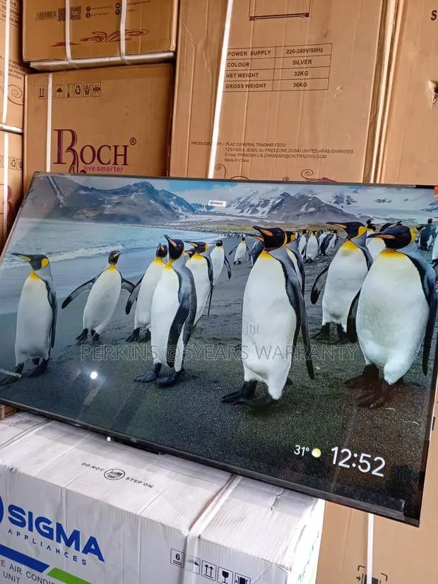 TCL 55-Inch Smart Tv With Alexa Built-In TCL Tv · Photo 1