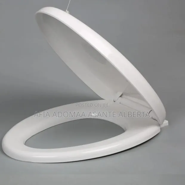 Plastic Toilet Seat Cover · Photo 1