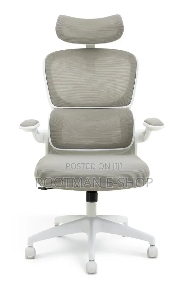 Hylone Ergonomic Office Chair With a Gray Mesh Backrest · Photo 1