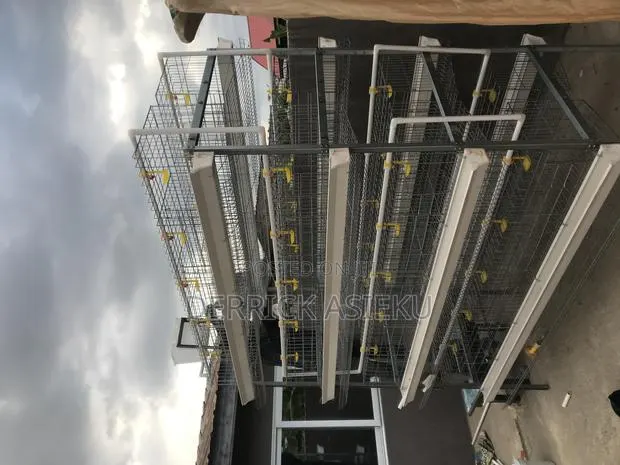 4 Tiers Battery Cage System · Photo 1