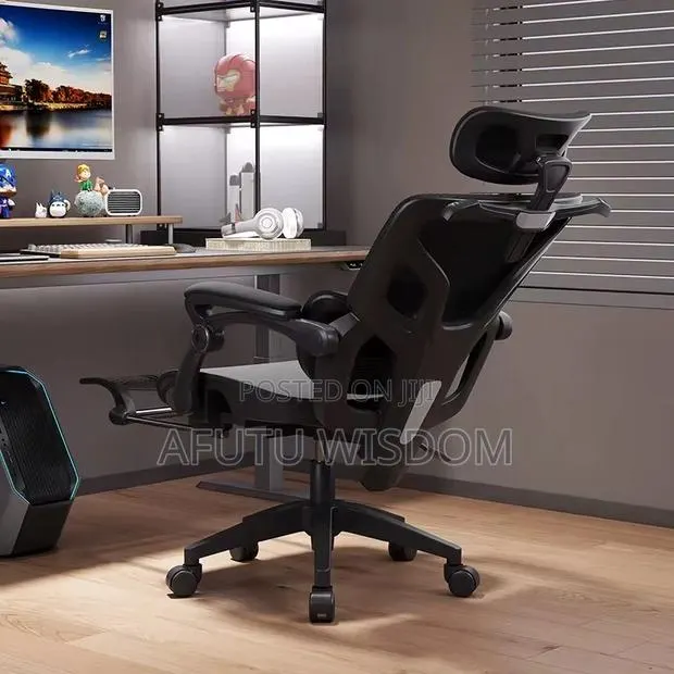 Ergonomics Mesh Chair · Photo 1