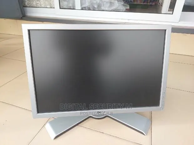 Dell Professional Monitor · Photo 1