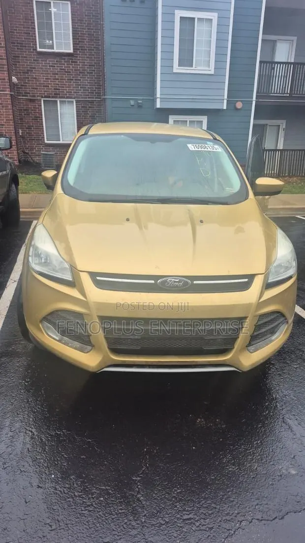 Ford Escape 2014 Gold · Photo 1