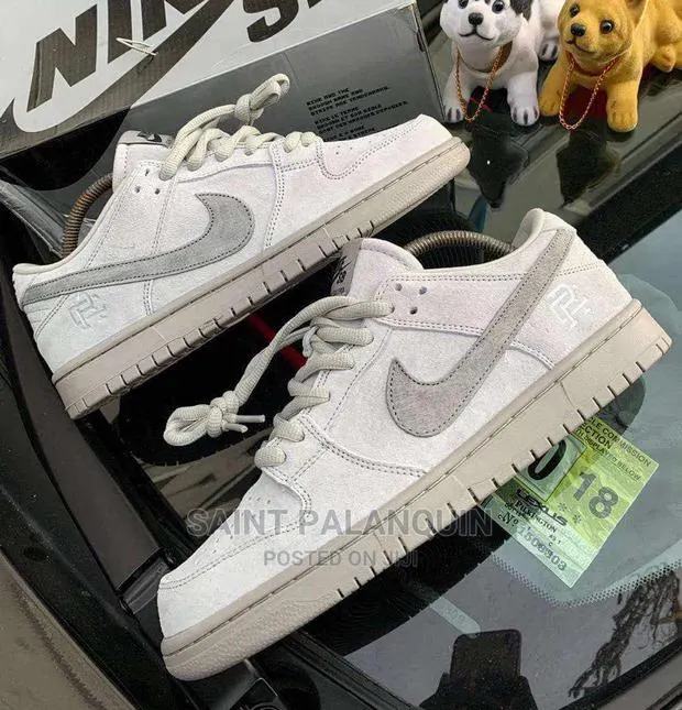 Ash Nike SB · Photo 1