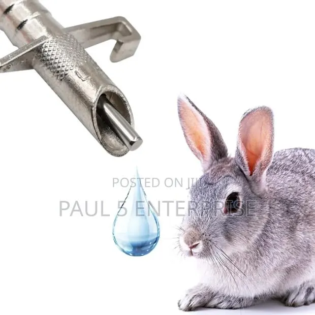 Wholesale And Retail Rabbit Nipples · Photo 1