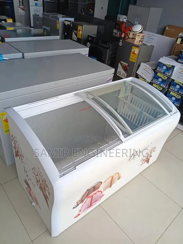The Roch RIS-570C-D Showcase Freezer · Photo 1