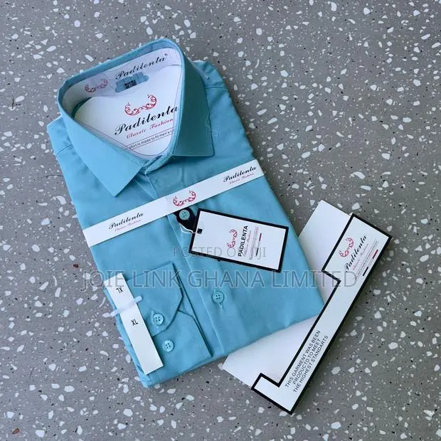 Padilenta Plain Linen Shirt · Photo 1