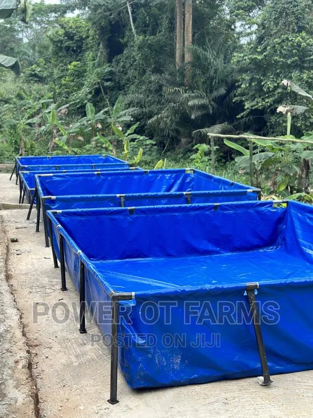 Tank for Fish Farming · Photo 1