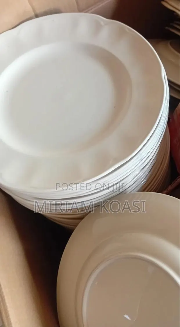 Hoteliy Ceramic Plates: Rent