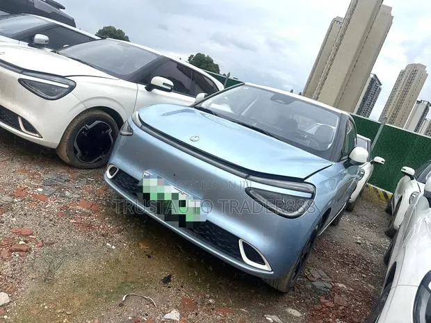Dongfeng Nammi 01 2025 Blue · Photo 1