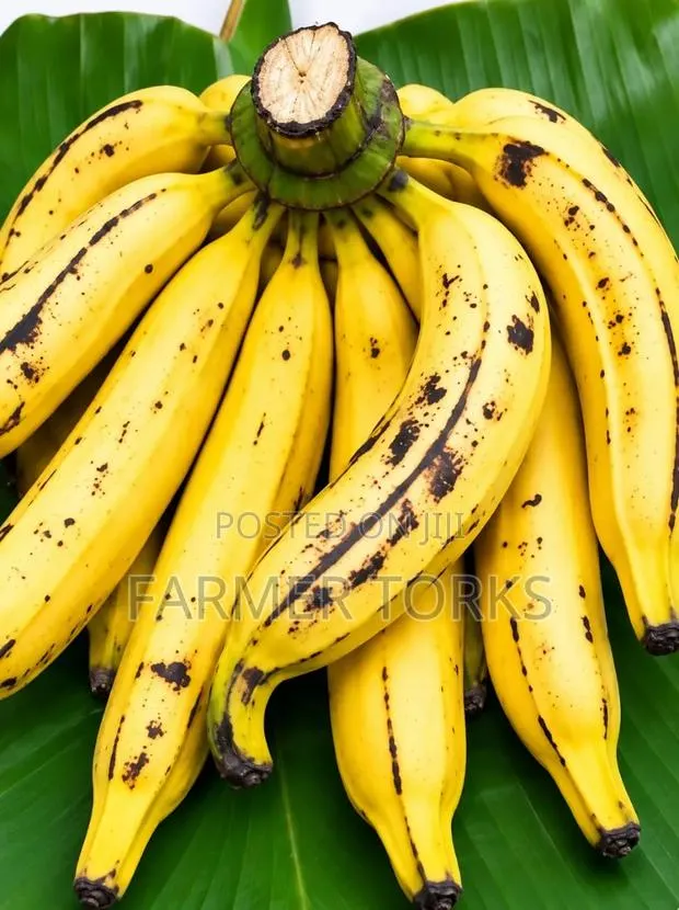 Ripe Plantain · Photo 1