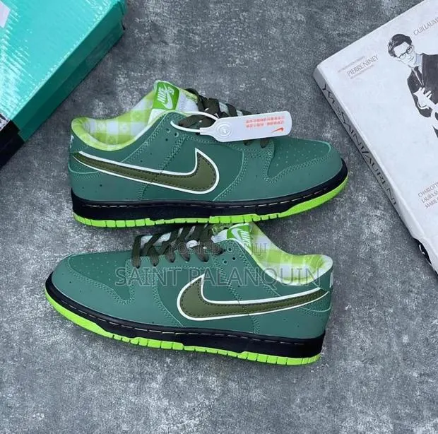 Nike Air Dunk · Photo 1