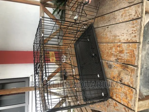 24 Inches Quality Dog Cages Available in Stock · Photo 1