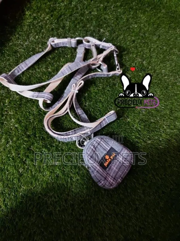 Dogs Harness Serial No. 2021/0008 · Photo 1