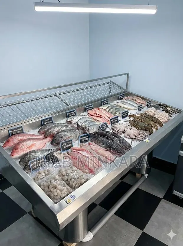 Premium Commercial Stainless Steel Display Table / Freezer · Photo 1
