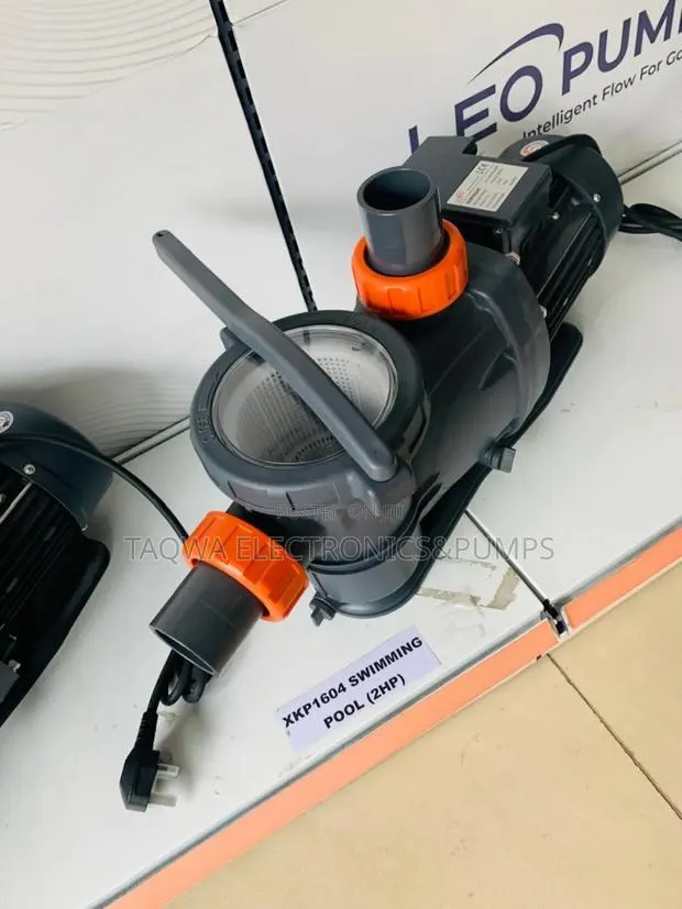 Domestic Pool Pump Leo 2hp · Photo 1
