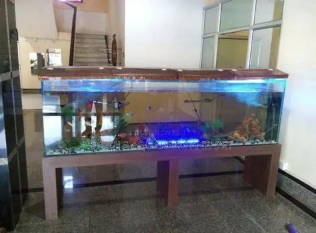 Point and Kill Aqurium. Glass Tank · Photo 1