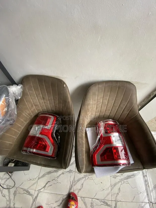 F-150 2018-2019-2020 Tail Light Pair · Photo 1