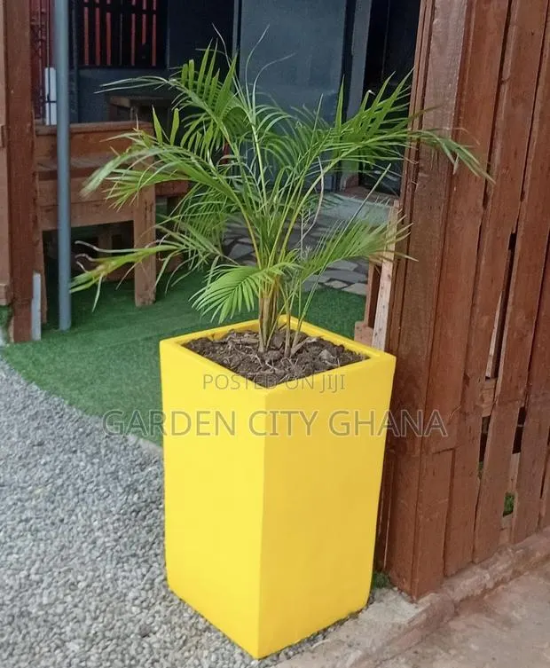 GreenCity Garden · Photo 2