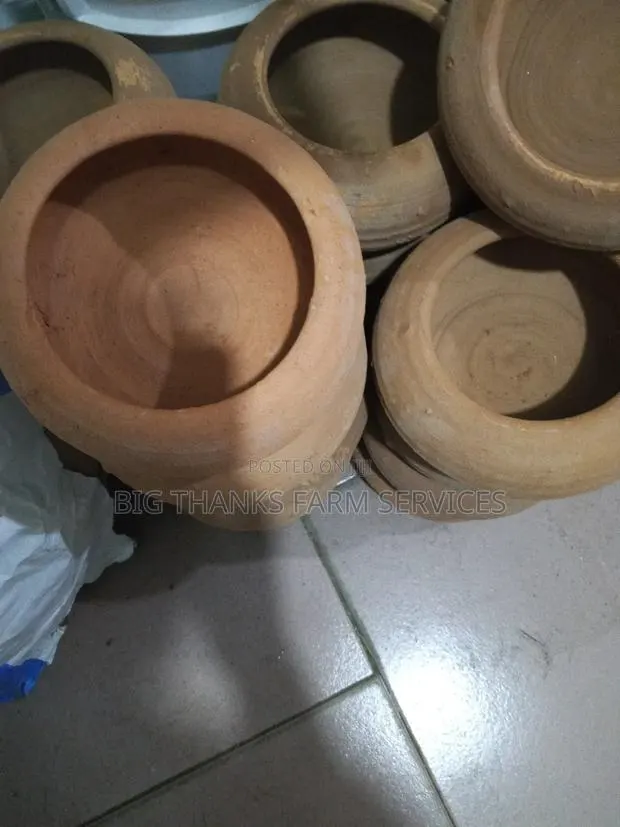 Rabbit Feeders, Clay Type · Photo 1