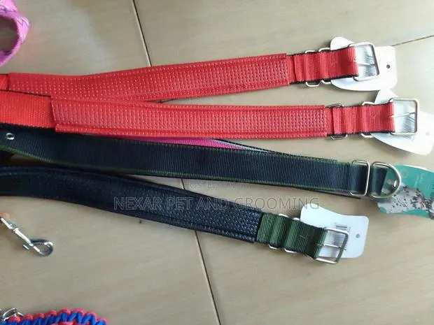 Dog Collar Available All Size · Photo 1