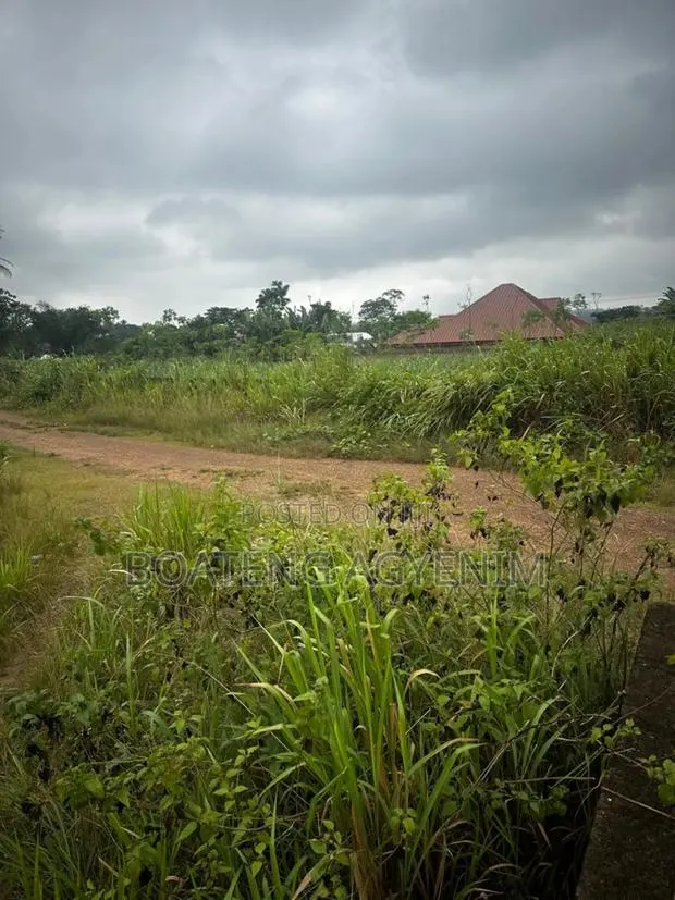 Full Plot for Sale at Asonomaso Nkwanta SAFO · Photo 1