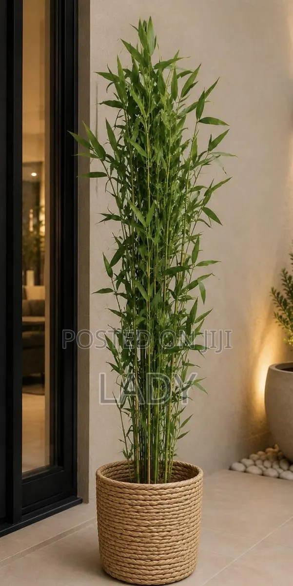 Artificial Bamboo Plant Tree · Photo 1