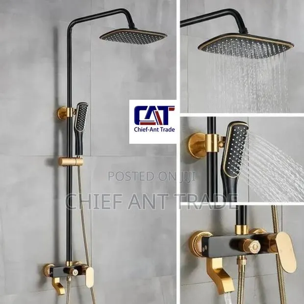 Black and Gold Shower. Hot and Cold. 801bk · Photo 1