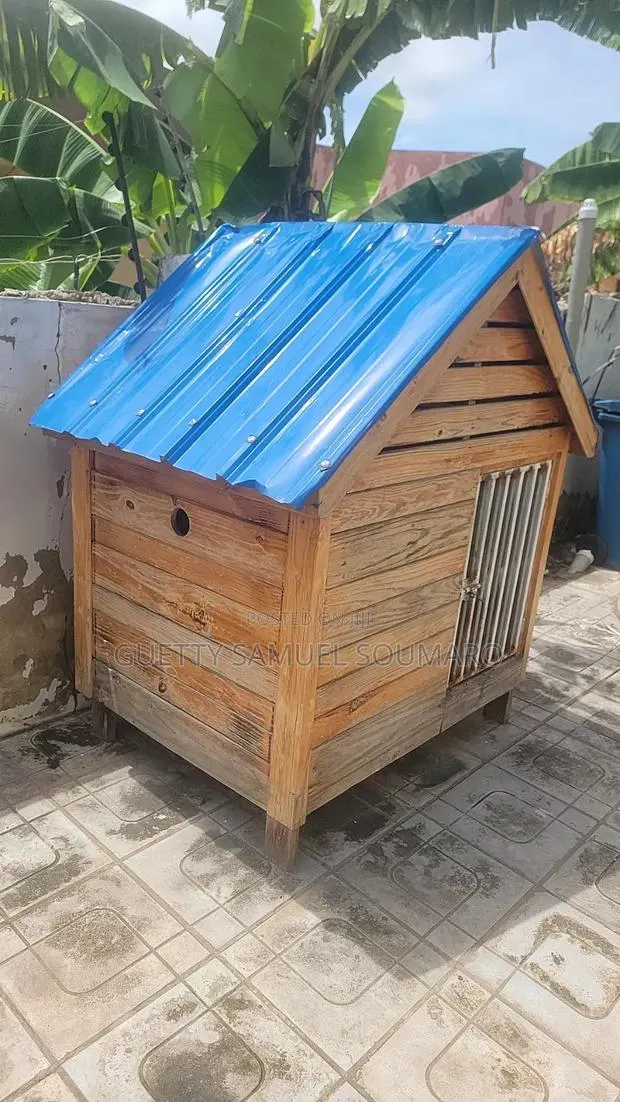 Dogs House · Photo 1